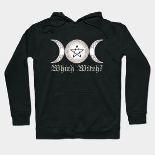Which Witch? Hoodie